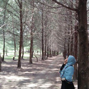 Dewi Wahyuni profile icon