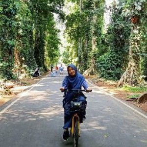 Dewi Hestia Siregar profile icon