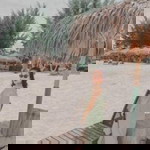 Rawitsada Nyde profile icon