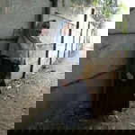 Maesaroh Khumaira profile icon