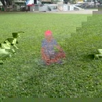 Nbm Macapallag profile icon