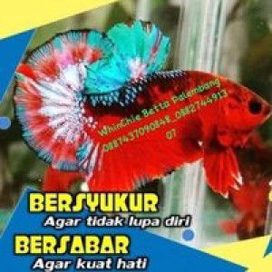 WhinChie Betta Palembang profile icon