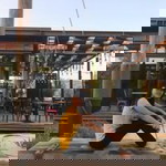 Helen Polinar profile icon