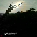 Nella Agustina profile icon