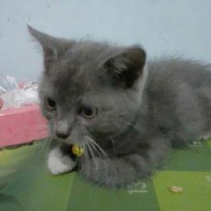 Anisa esihandayani profile icon