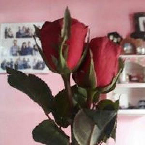 Iga Ismi Sukma profile icon