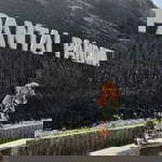 Emilia Alika profile icon