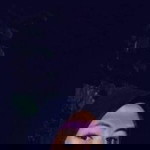 chacha profile icon