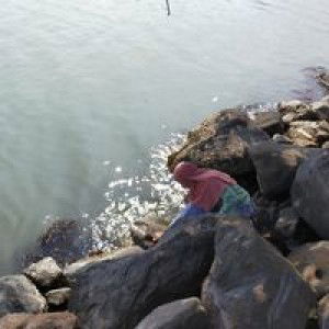 Diah Arum profile icon