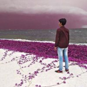 Teguh Fams profile icon