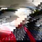 Ct Wawa Ismail profile icon