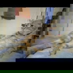 Elvira RKP profile icon