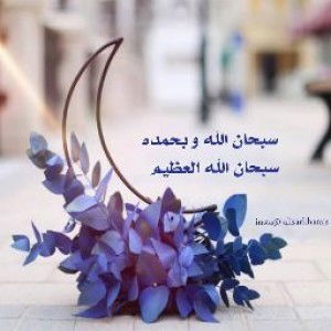 Ellysri novita diana Diana profile icon