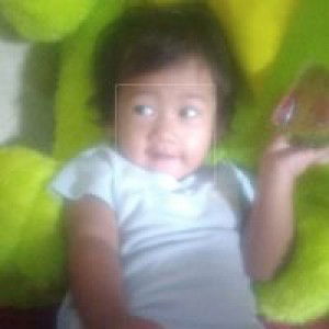 Nani Librawati profile icon