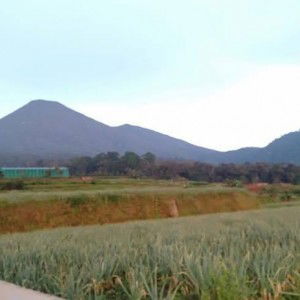 Dewi rizal profile icon