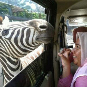 SMK Zainul Hasan profile icon