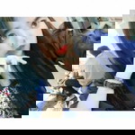 Fani Restiana profile icon