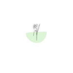 Ayu Citraningtias  profile icon