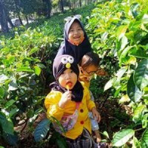 Imas Mella profile icon