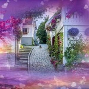 Sri Ayu profile icon