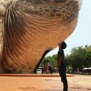 Adhe Naxsganjha profile icon