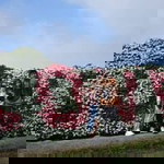 Jane Ethel profile icon