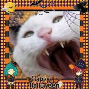 Ricci Nice profile icon