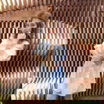 Bummnd Ths profile icon