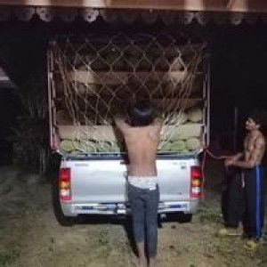 ก้อ'มึง มัน'ลั้น profile icon