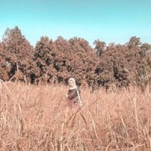 Desi Rasmawatii profile icon