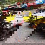 vita elicia fianty profile icon