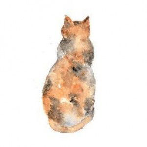 Nor Idianna profile icon