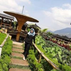 Intan Dwilitasari profile icon