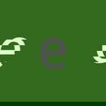 elfas Mahameru profile icon