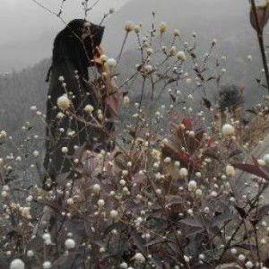 Yayan Wulansari profile icon