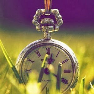 linh nguyễn profile icon