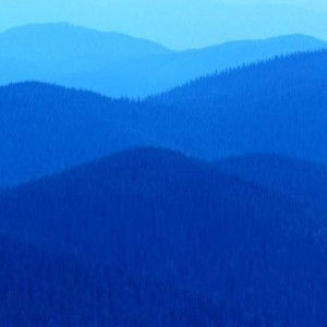 montira mykiss profile icon