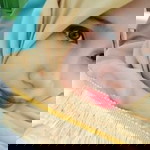 RahmaYani Anjani profile icon