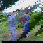 Tio Boru Sihotang profile icon