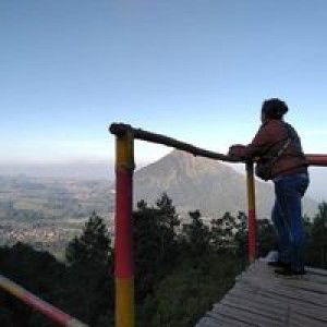 Mellyna Maulana profile icon