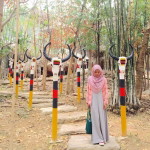 UMMU NAFISAH MOHD EDRUS profile icon