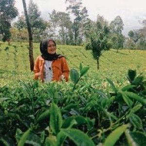 Tri Jayanti profile icon