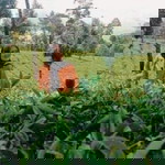 Tri Jayanti profile icon