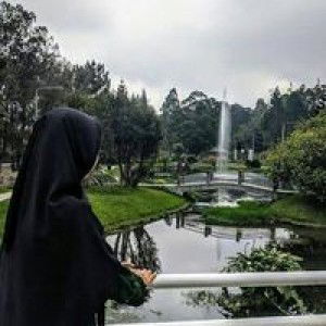 Sulistia profile icon