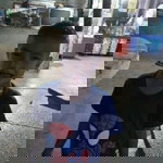 อะตอม ศรีสุวรรณ profile icon