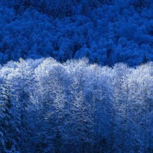 I'm Directure profile icon