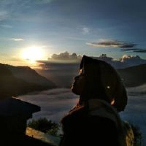 Diny Nurhayati profile icon