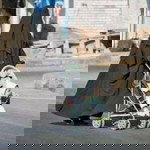 Putri Ratna Ningsih profile icon