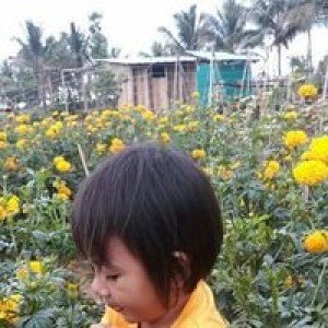 Yulia Putri profile icon