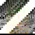 Ulifah Mukharomah profile icon